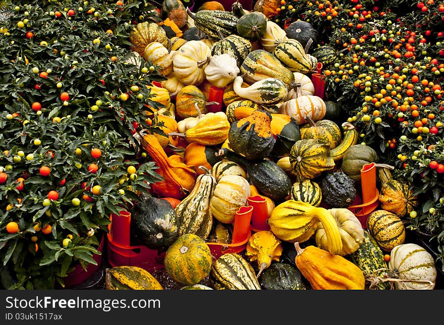 Zucchini and peppers at market in Italy