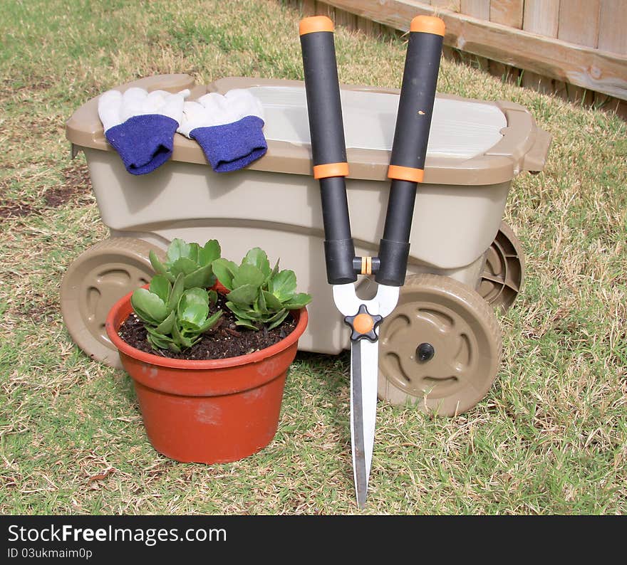 Garden Tools