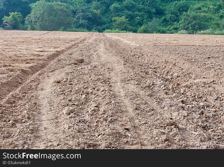 Cultivated brown dried field