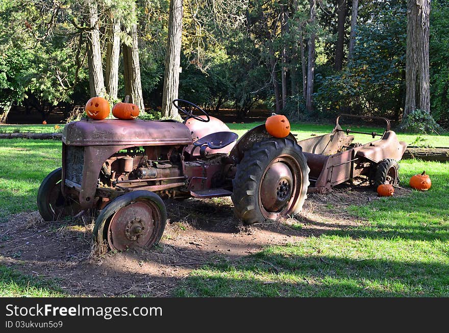 Antique Tractor decorated with Pumpkins