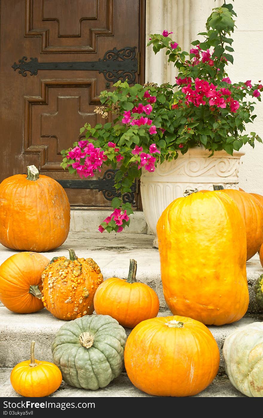 Pumpkins and bougainvilla adorning large wooden doorway. Pumpkins and bougainvilla adorning large wooden doorway.