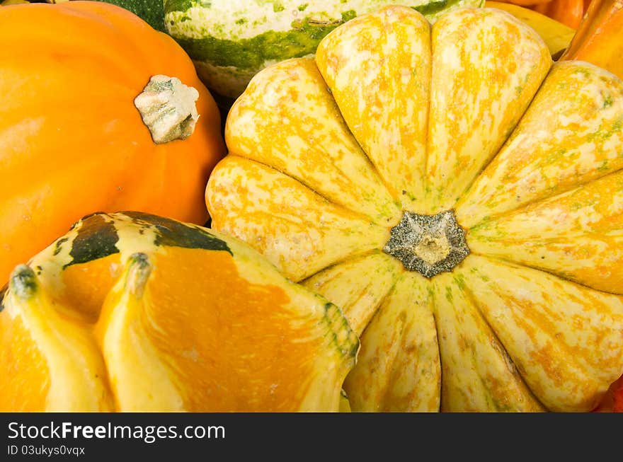 A variety of autumn squash.