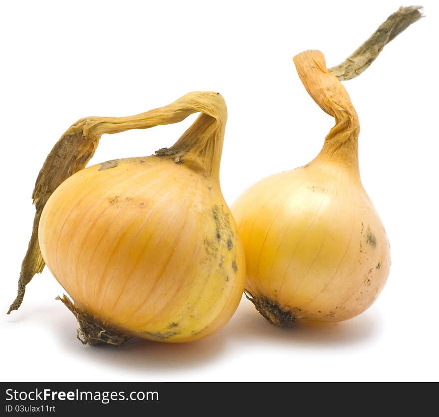 Two onions on white backgroound