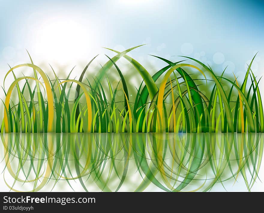 Pasture grass and shiny reflections. For the background image. Pasture grass and shiny reflections. For the background image