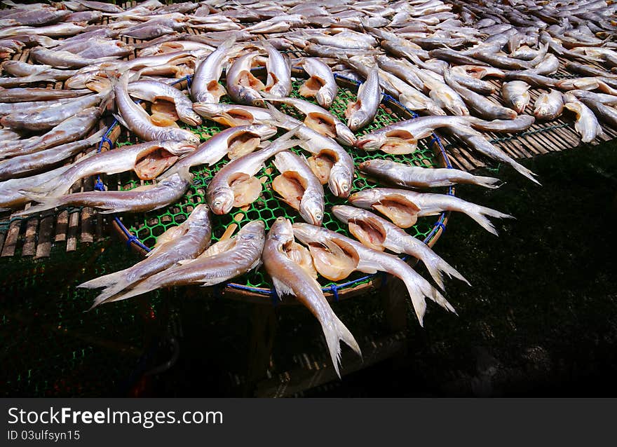 Salted fish basking in the sun , from thailand