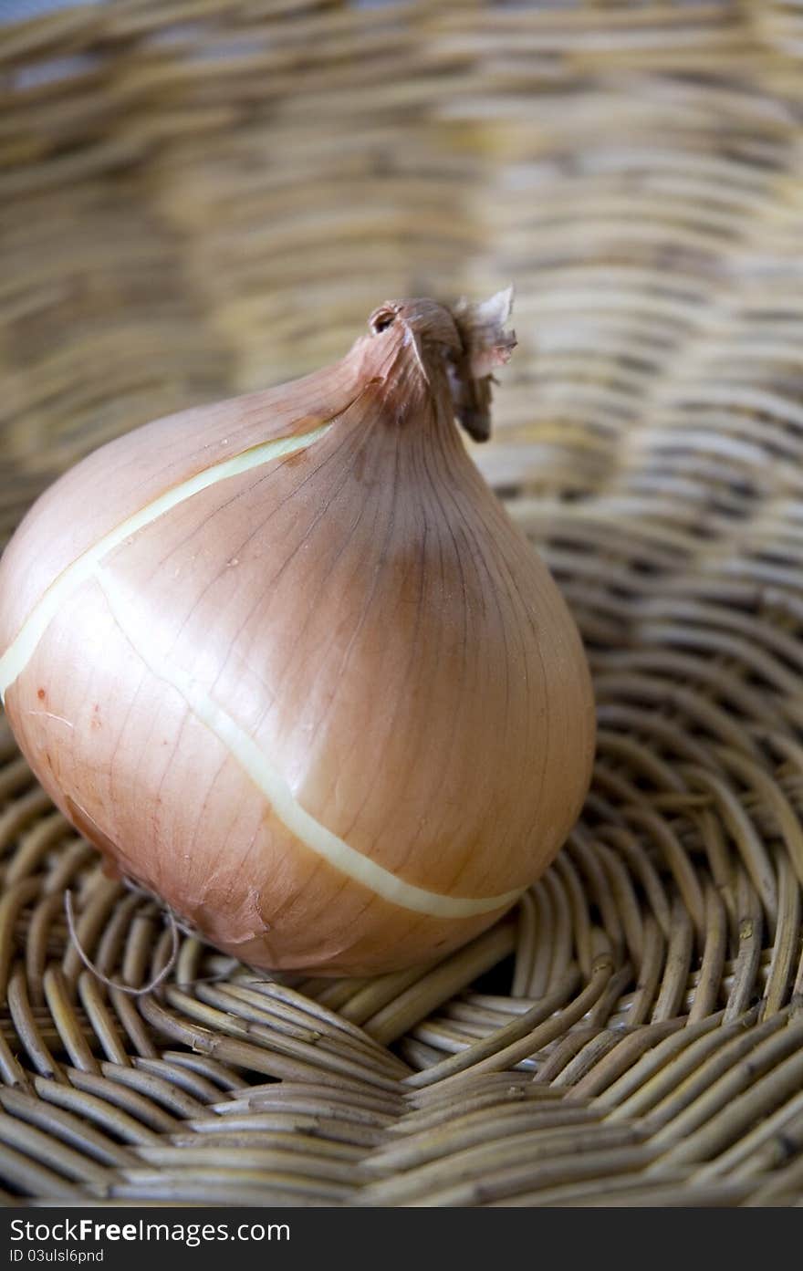 Close up onion on big basket