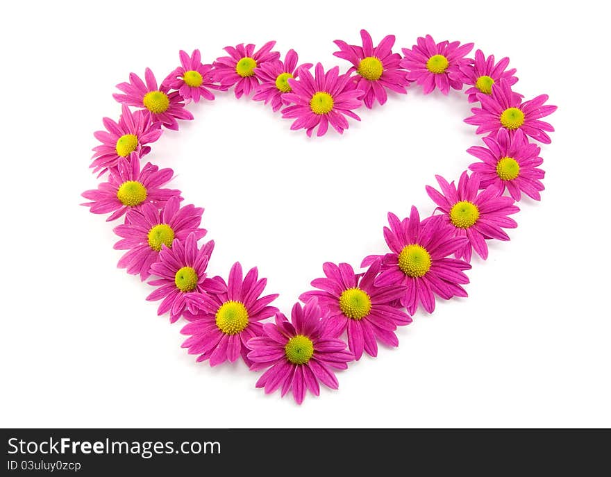 Pink flowers in a shape of a heart isolated on white