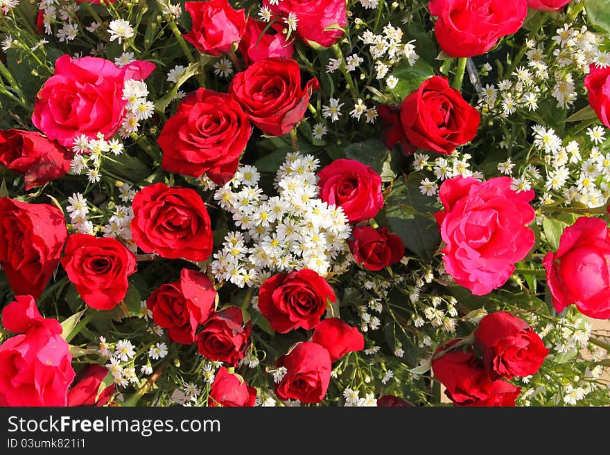 Flowers decoration background