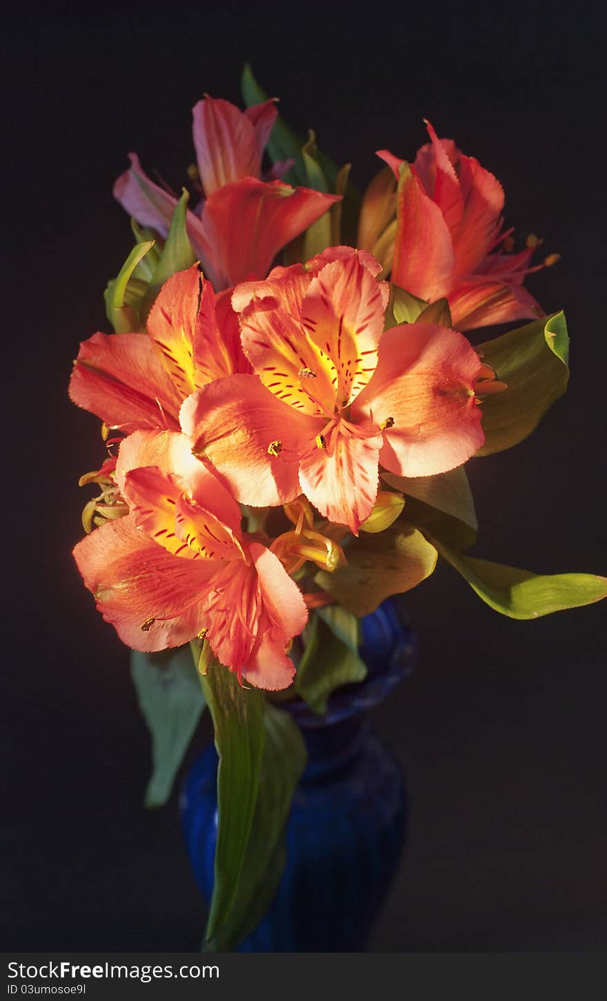 Bouquet of red-orange colors in a vase on a black background. Bouquet of red-orange colors in a vase on a black background