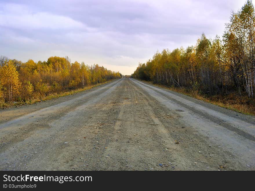 Endless road during autumn season. Endless road during autumn season