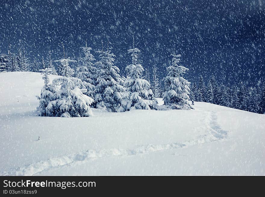 Winter landscape