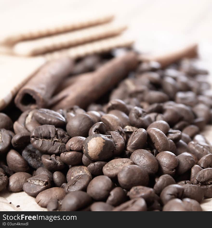 Coffee Beans close up photo