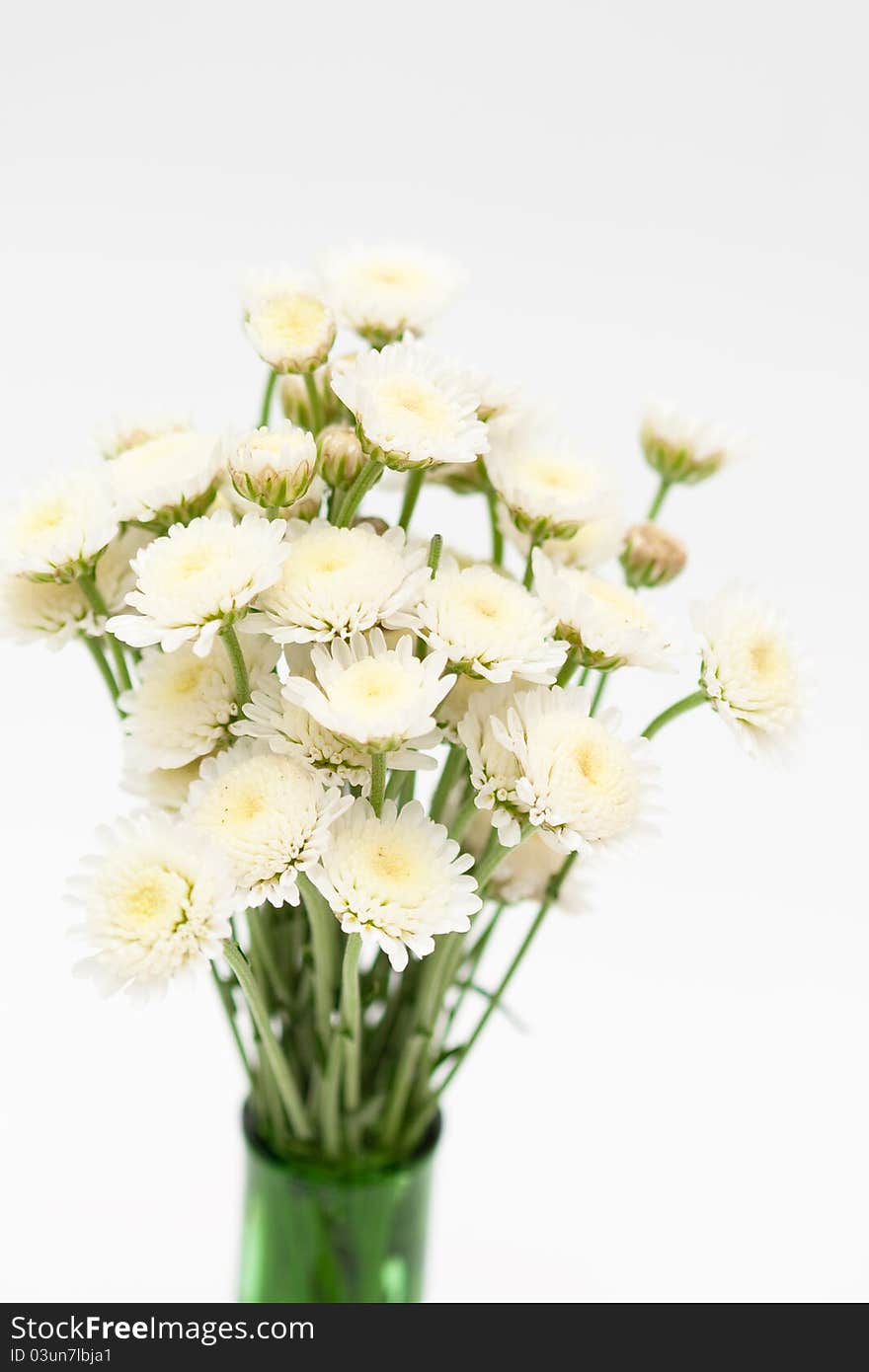 Bouquets of white flowers in colored vases. Bouquets of white flowers in colored vases