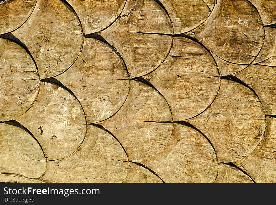 Wooden Texture