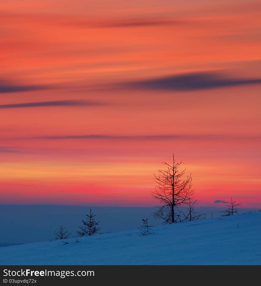 Winter landscape