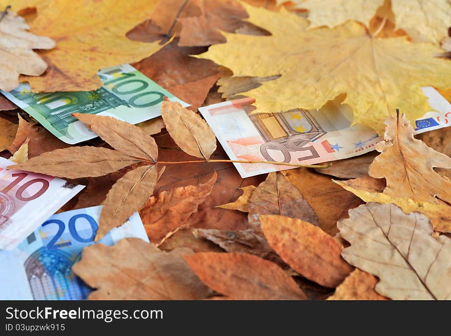 Business concept. European union currency mixed with dry autumn leaves. Business concept. European union currency mixed with dry autumn leaves