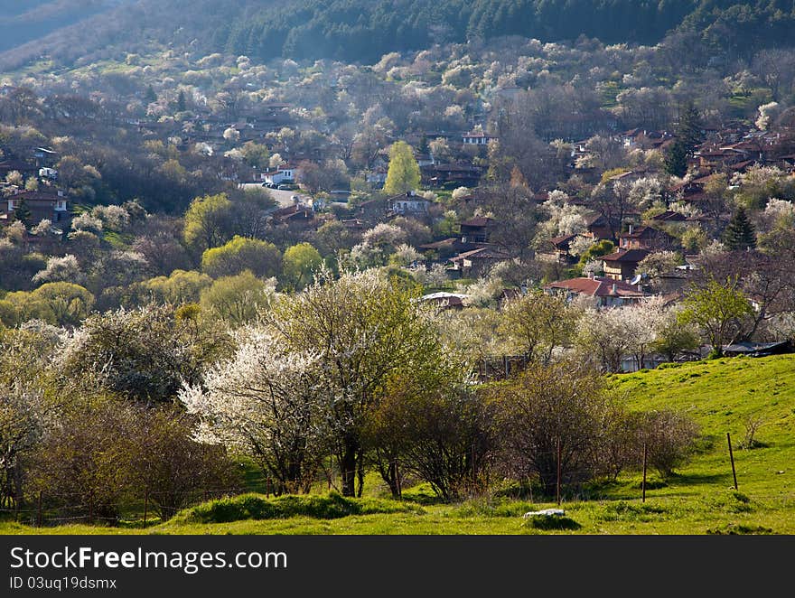 Village in the mountains