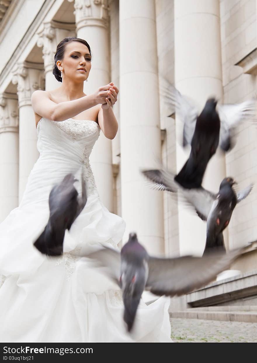 Bride Doves