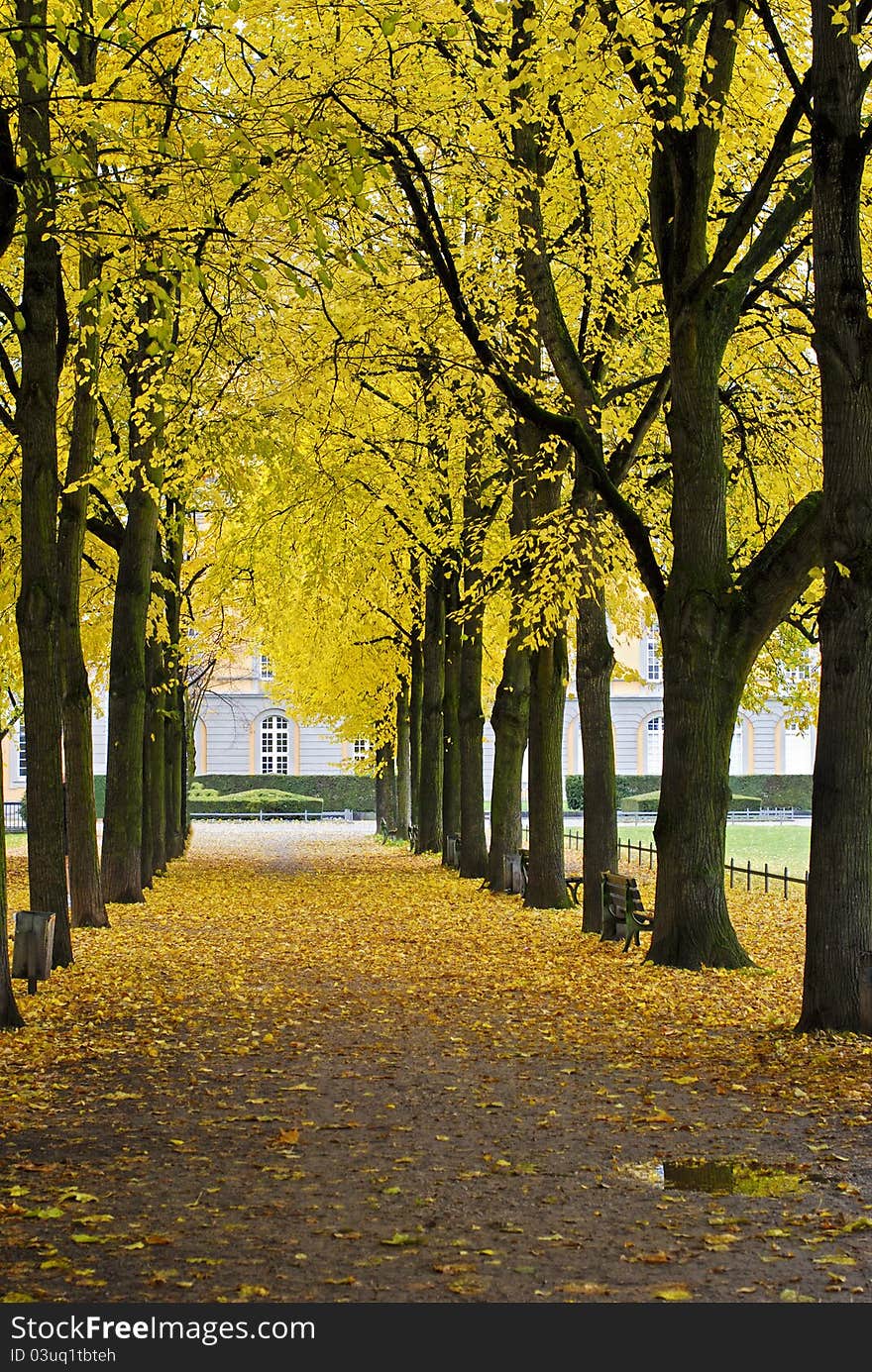 Autumnal park in the center of Bonn, Germany