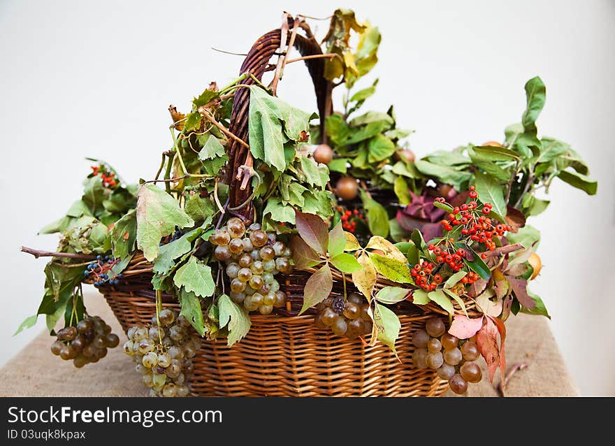 Basket With Grapes And Fall Leaves.