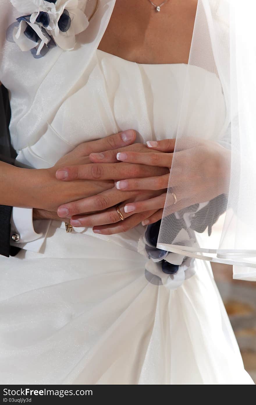 Hands of bride and groom with rings