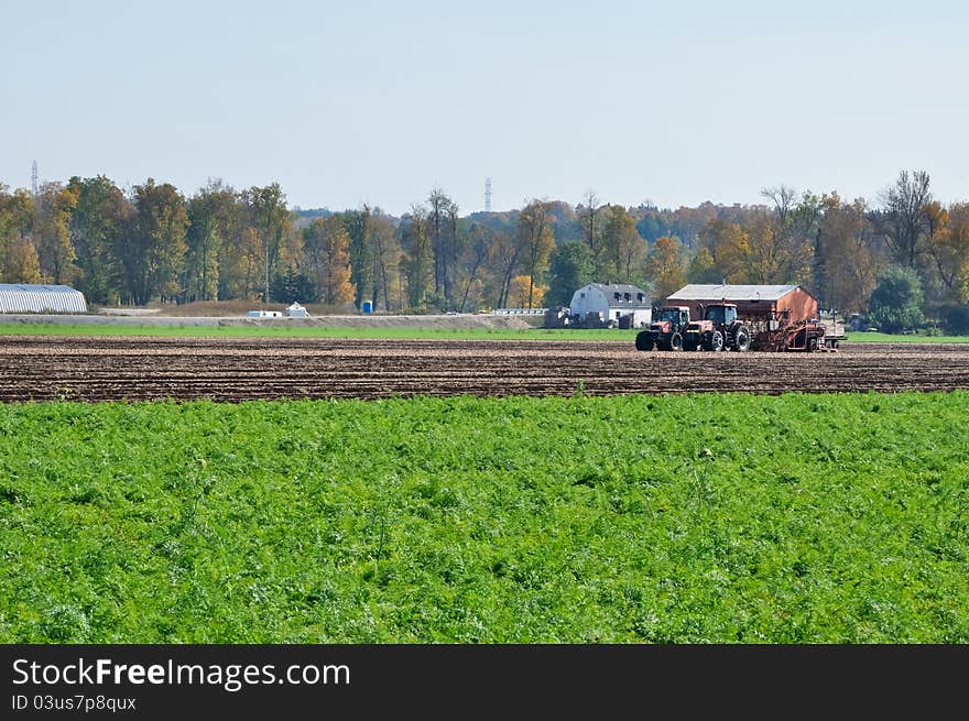 Tractor in field at harvest time. Tractor in field at harvest time