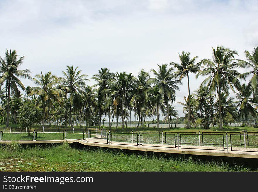 Green garden bridge