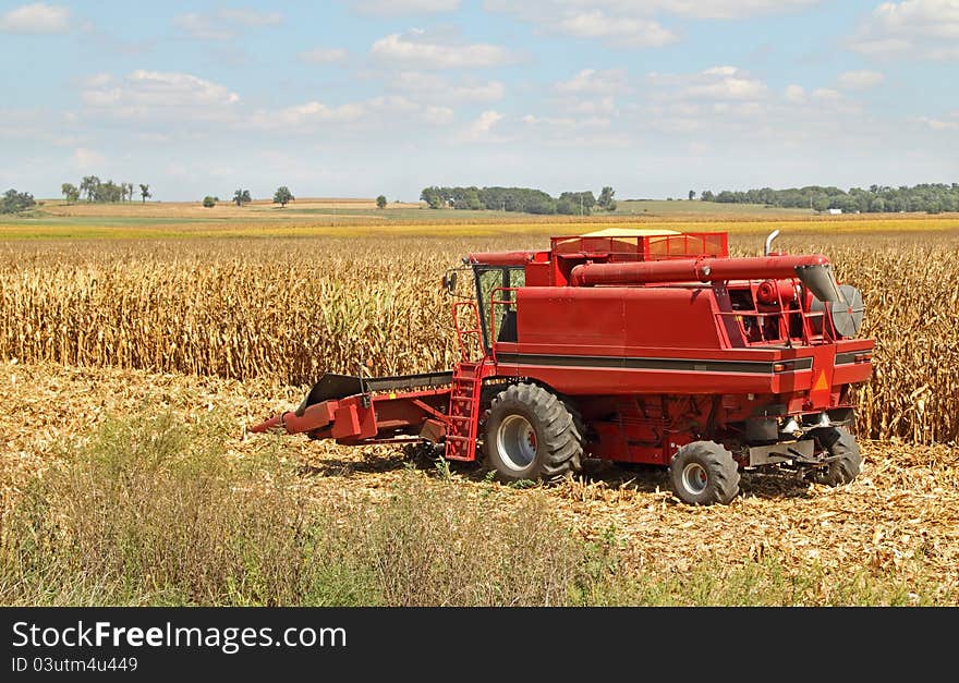 Combine Harvesting Corn Crop