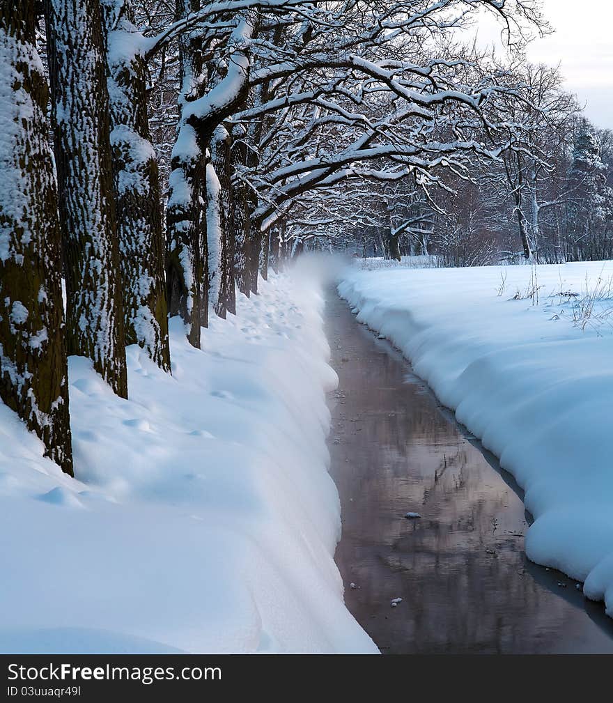 Winter trees under stream  in the park are covered by snow. Winter trees under stream  in the park are covered by snow