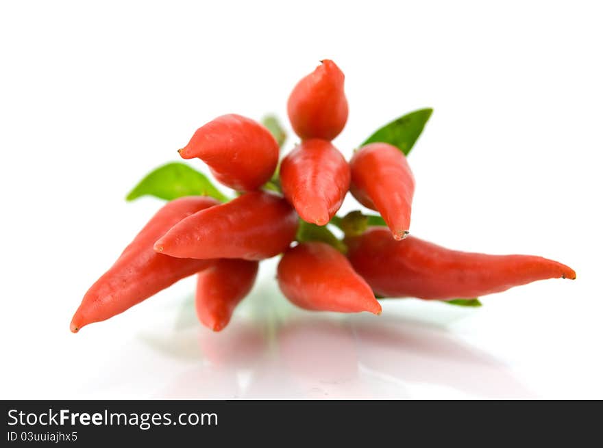 Red Pepper On A White Background