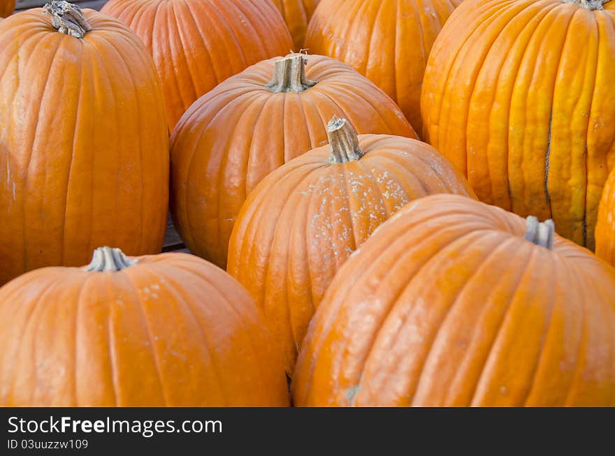 Pumpkins In An Open Air Market