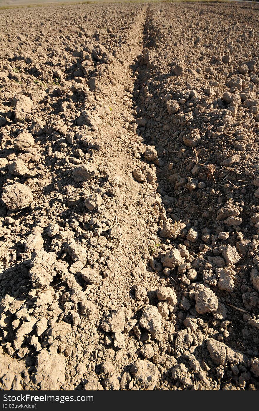 Dirt from plowing with large clods in a row. Dirt from plowing with large clods in a row.