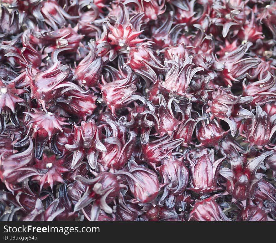 Pile of fresh red roselle. Pile of fresh red roselle