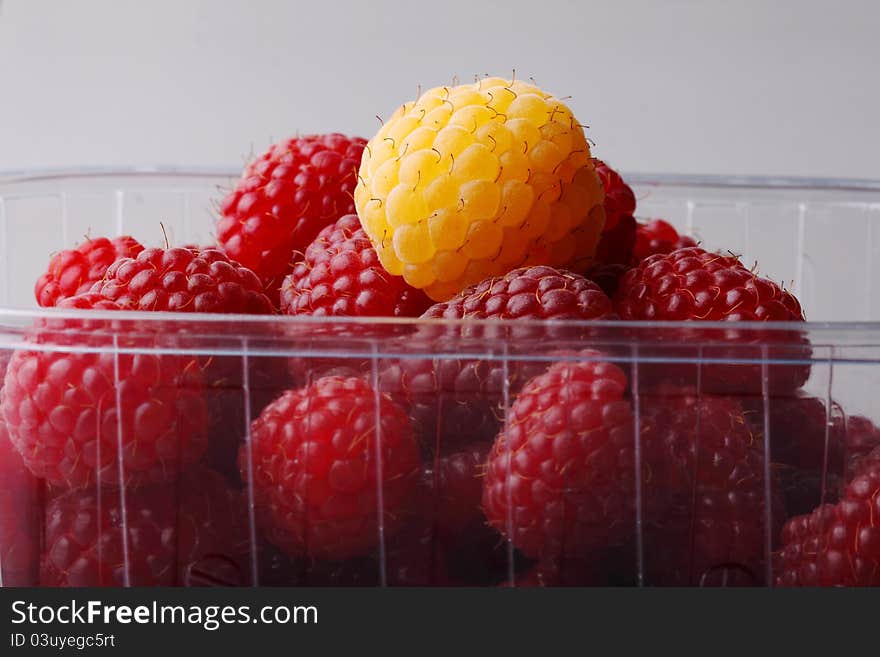 Delicious Raspberries