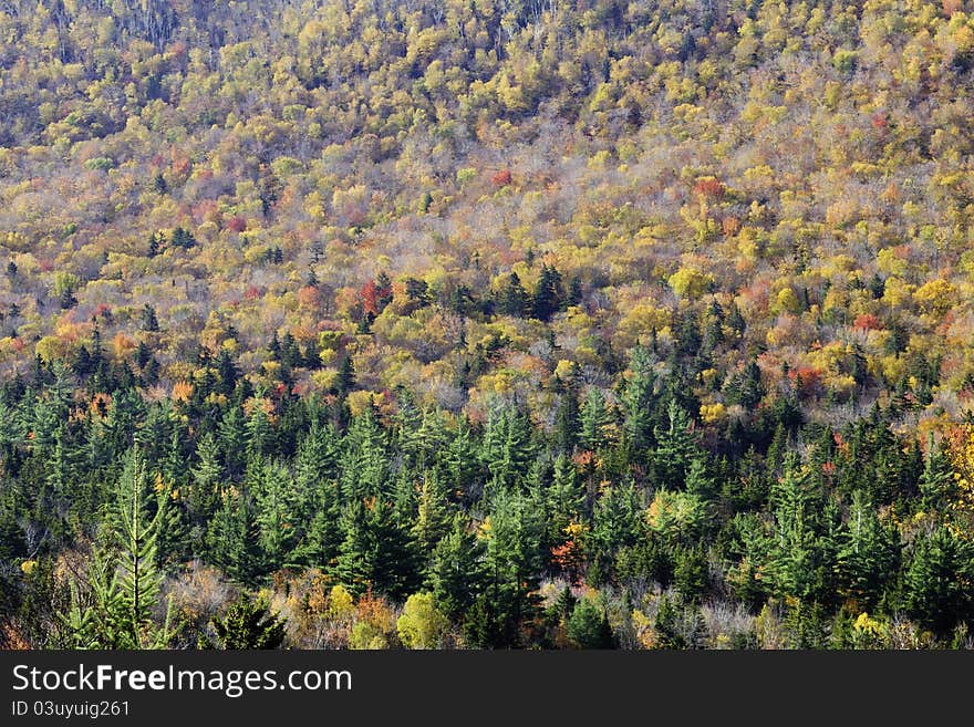 White Mountains in the autumn