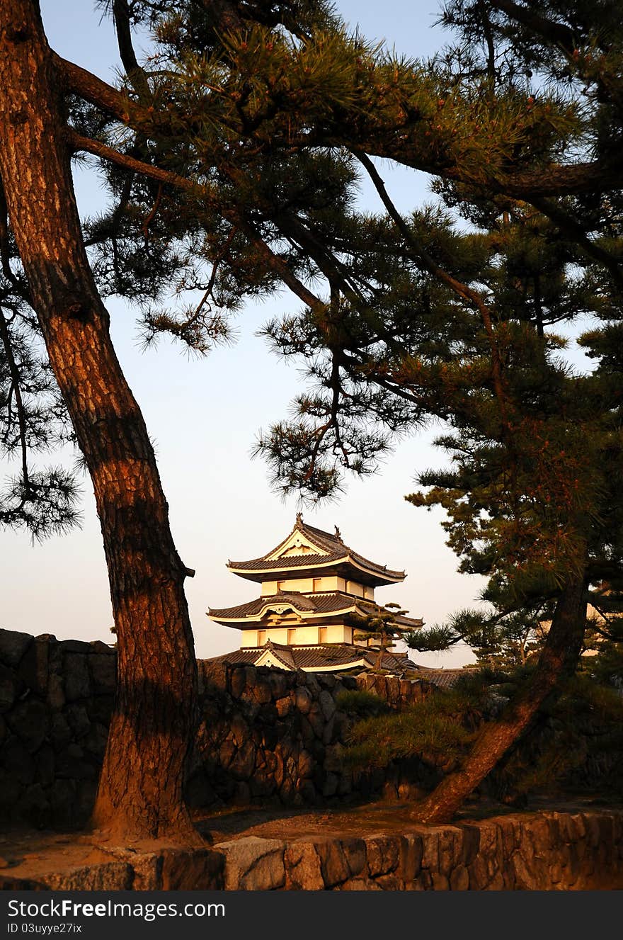 Evening time view of the historic castle in japan