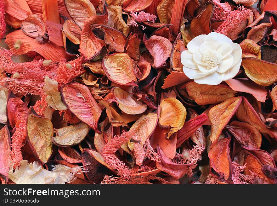 Dried leaves