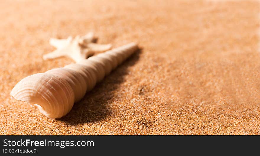 Abstract summer still-life over sea sand