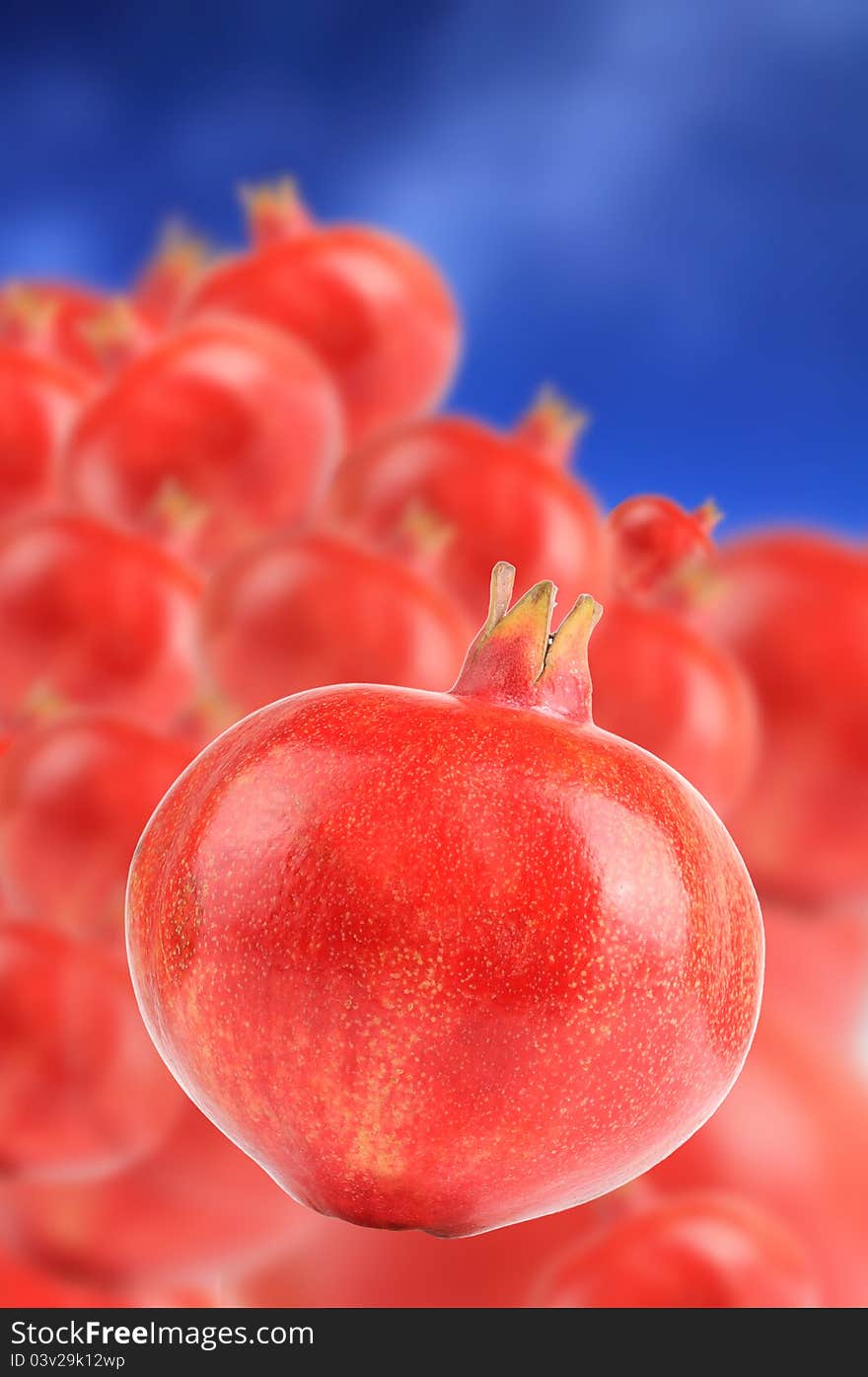 Pomegranates on  Sky Blue Background