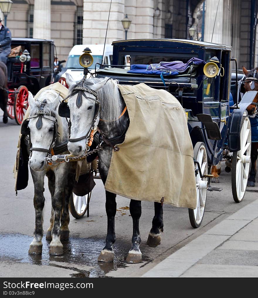 Horse-driven carriage outside Hofburg palace, Vienna, Austria