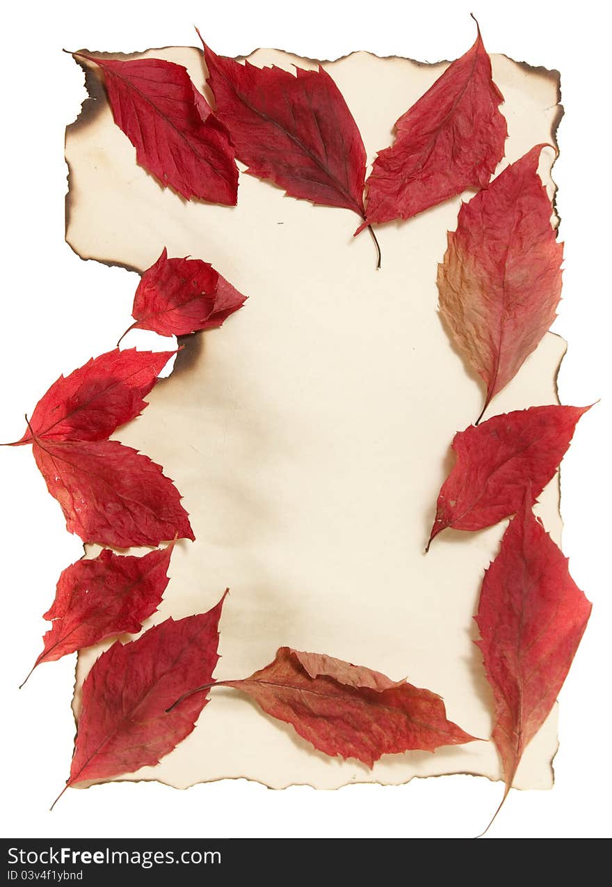 Autumn Leaves on Old Paper