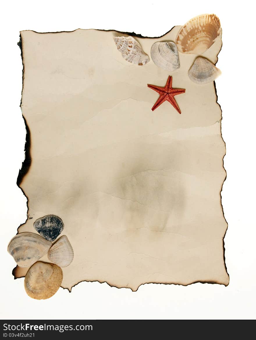 Old paper tag with seashell and starfish