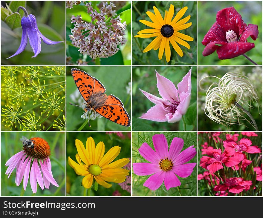 Floral Collage