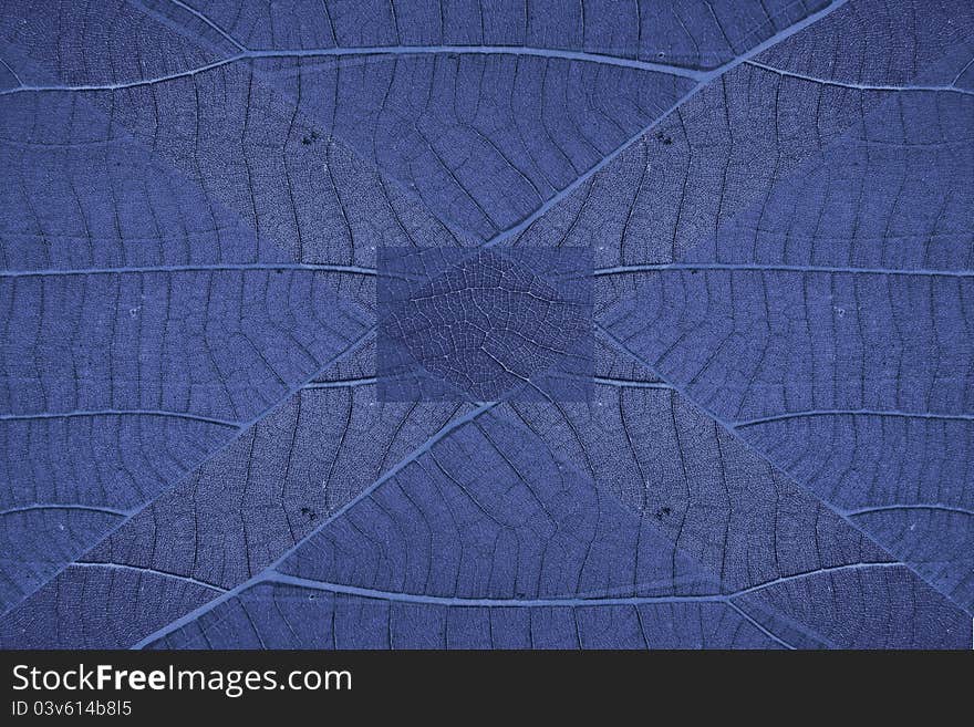 The texture background made from multi-part of leaf. The texture background made from multi-part of leaf.