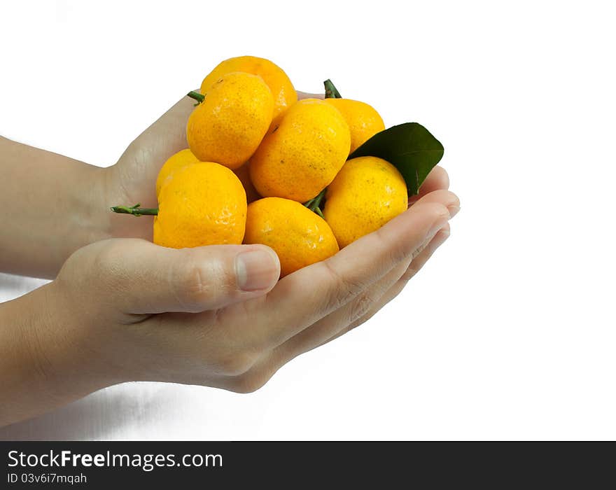 Isolate hand and orange on white background