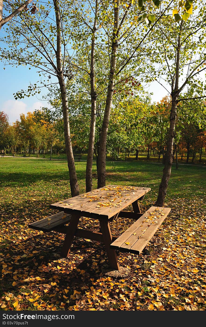 Autumn day in the park