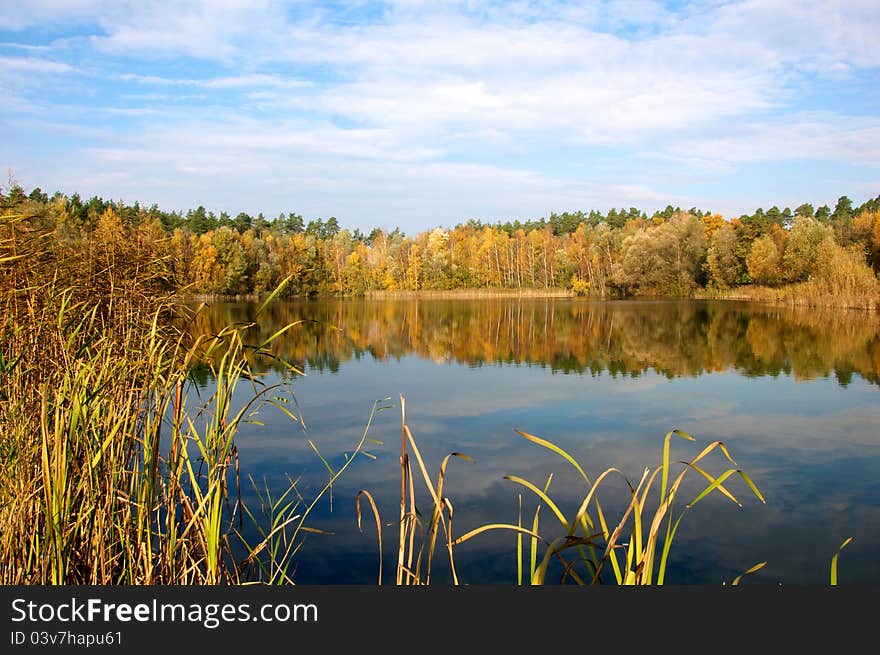 Lake in fall with colored trees and reflections in water. Lake in fall with colored trees and reflections in water