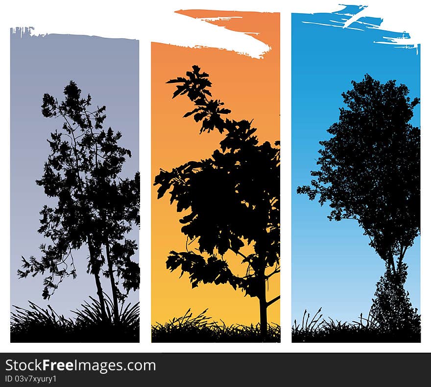 Set of three tree illustrations. Set of three tree illustrations