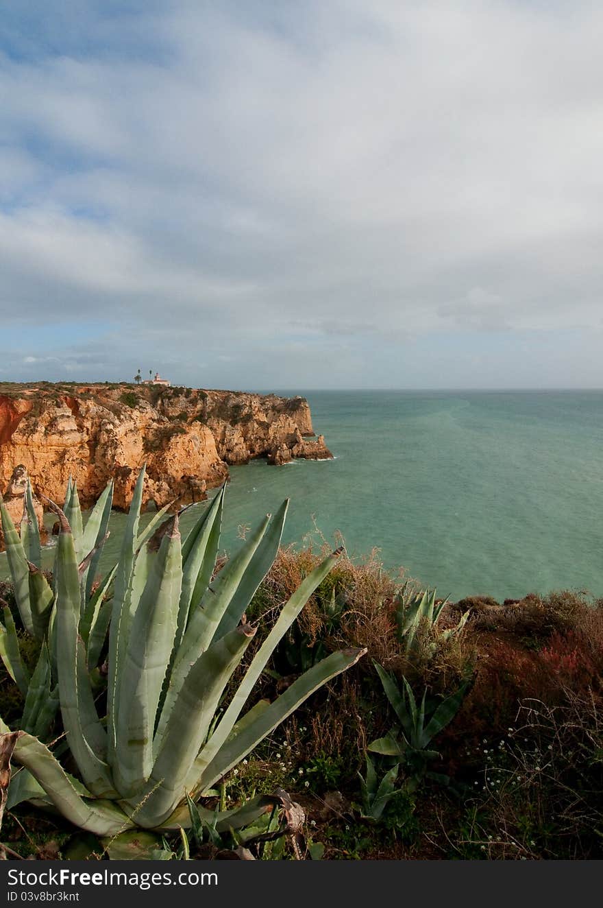 Green coastline in Southern Portugal