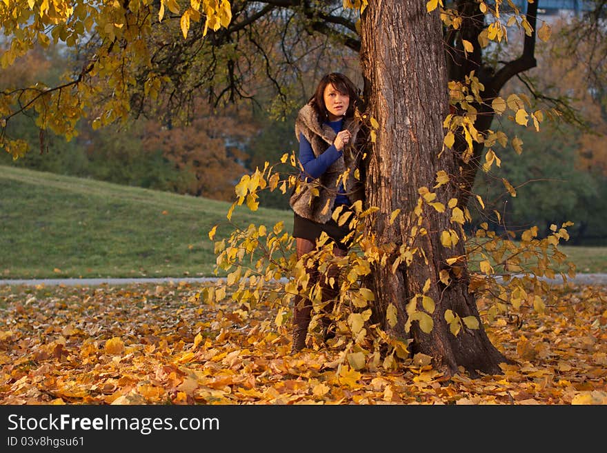 Young attractive woman looking form behind the tree during autumn golden sunset. Young attractive woman looking form behind the tree during autumn golden sunset